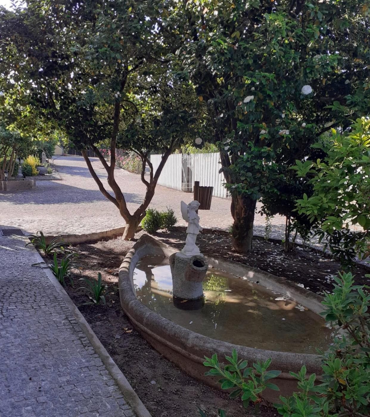 Casas do Souto photo 9