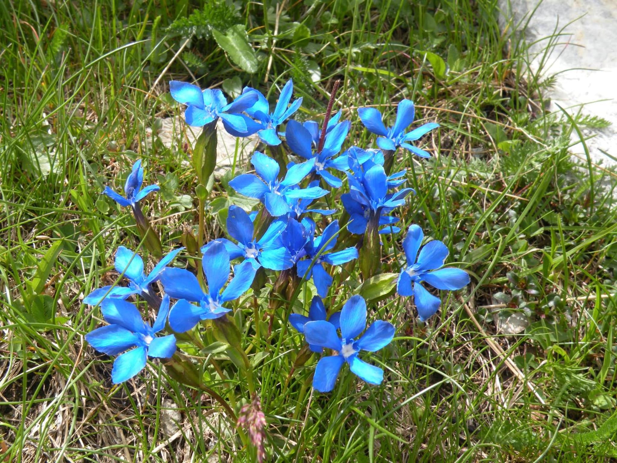 Haus Gartenheim photo 9