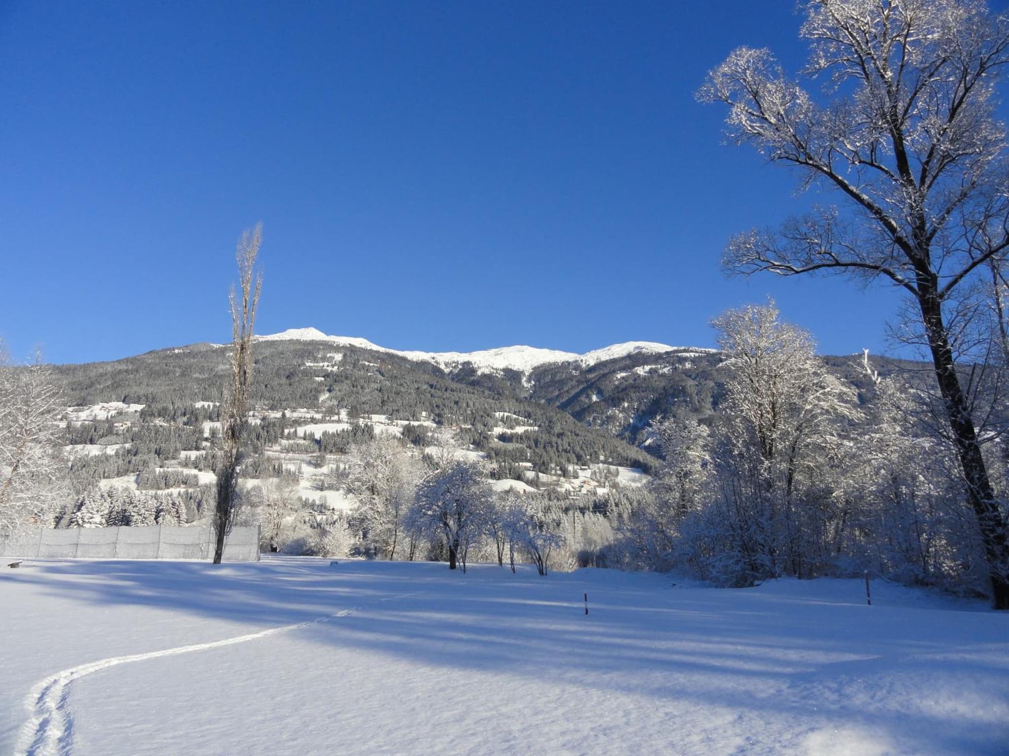 Hotel Berghof photo 3