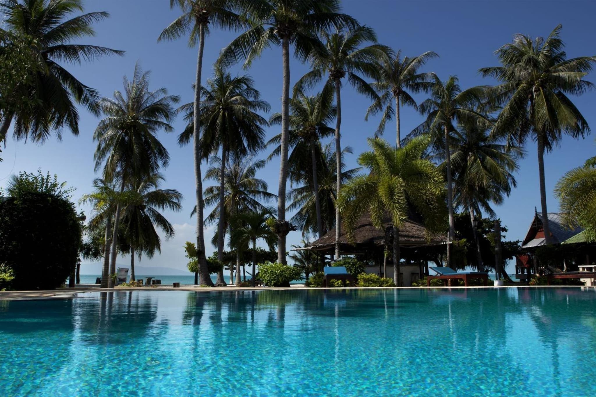 Dewshore Resort photo 7