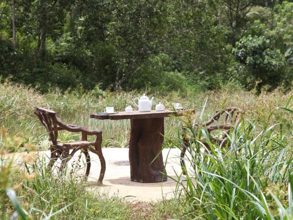 Sinharaja Forest Edge photo 3