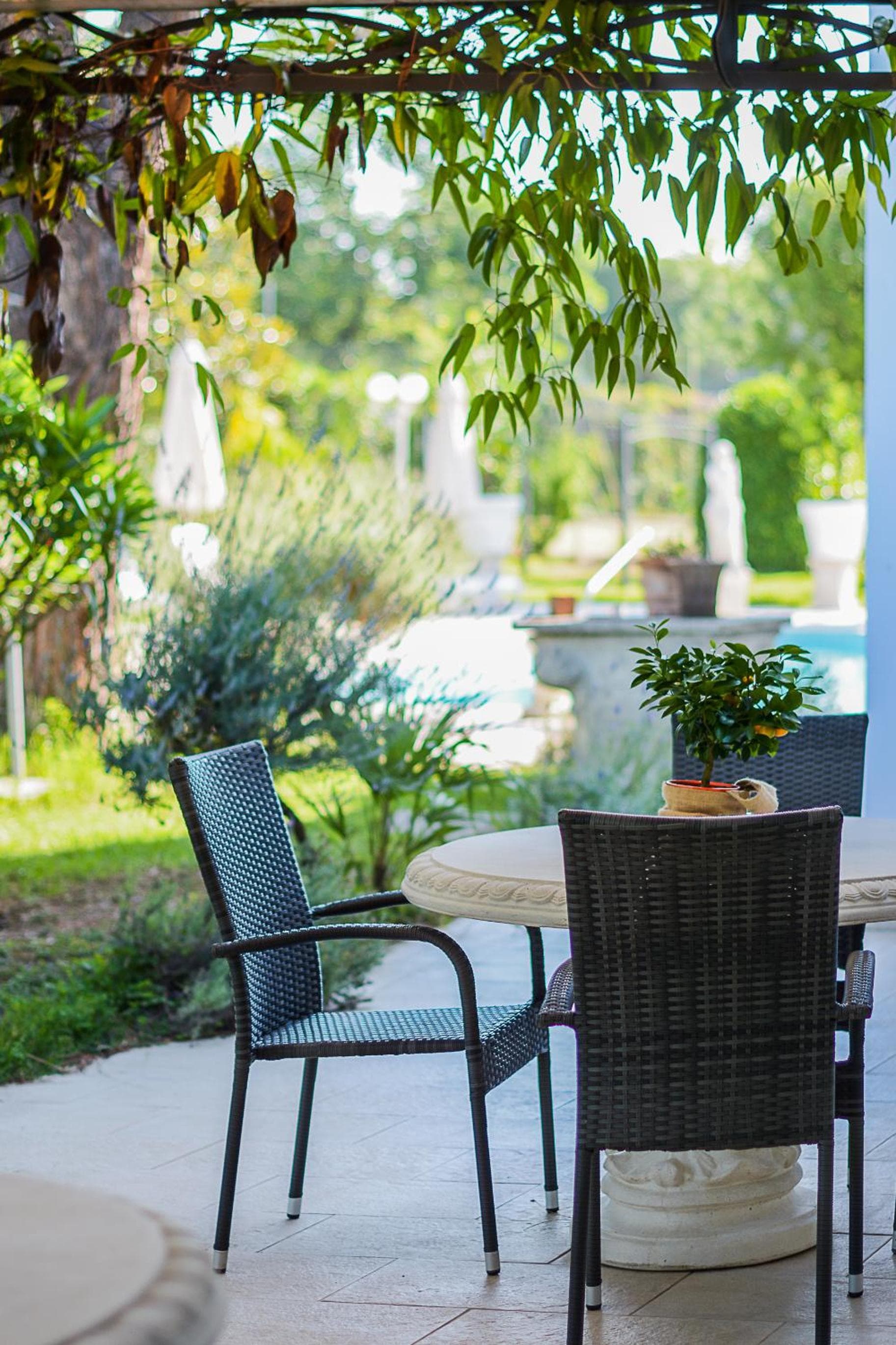 Bellavista Terme Resort & Spa photo 9