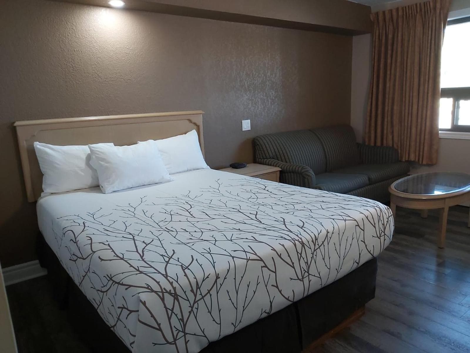 Arnprior Motor Inn photo 6
