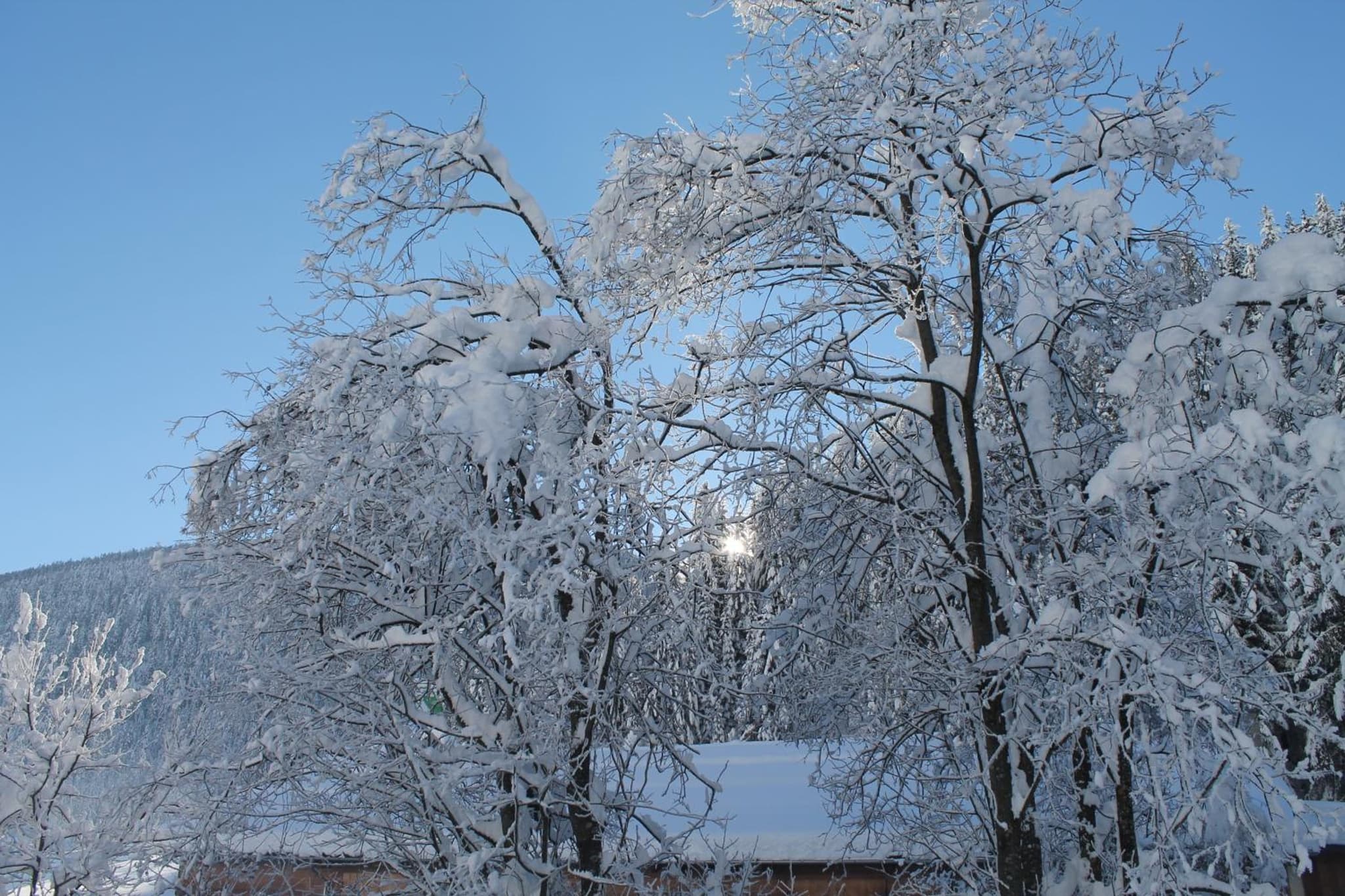 Ferienwohnungen Steidl photo 6