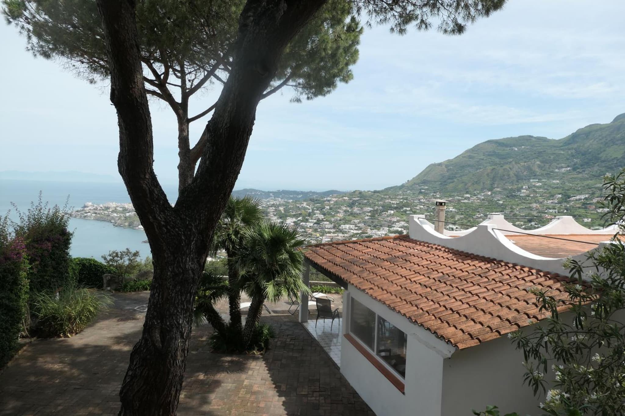 Villa Andrea photo 3