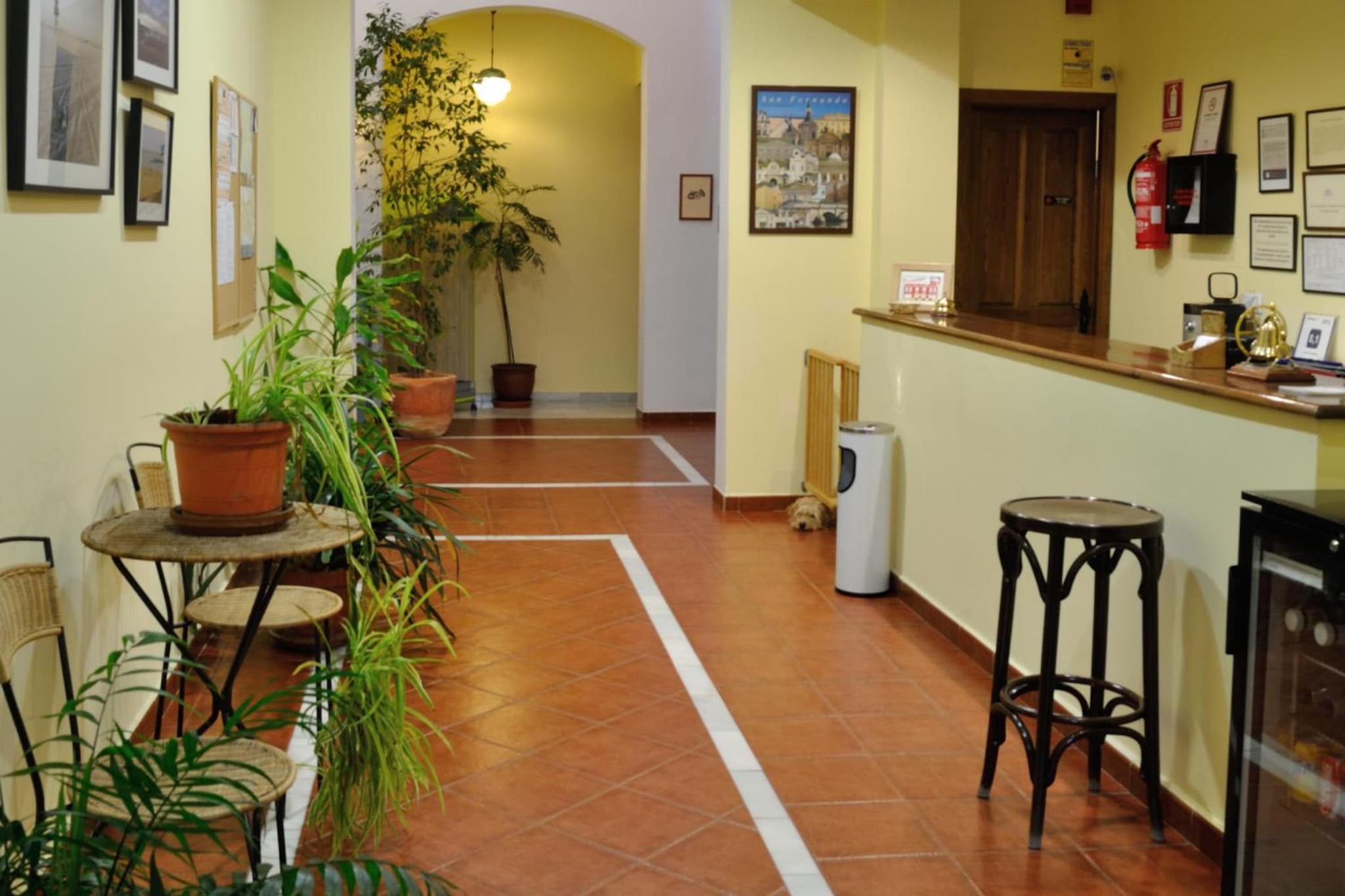 Hostal La Andaluza photo 7