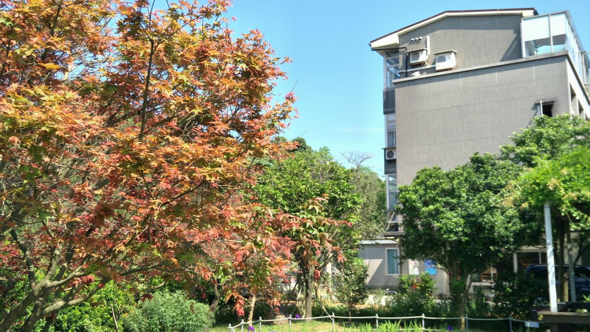 building