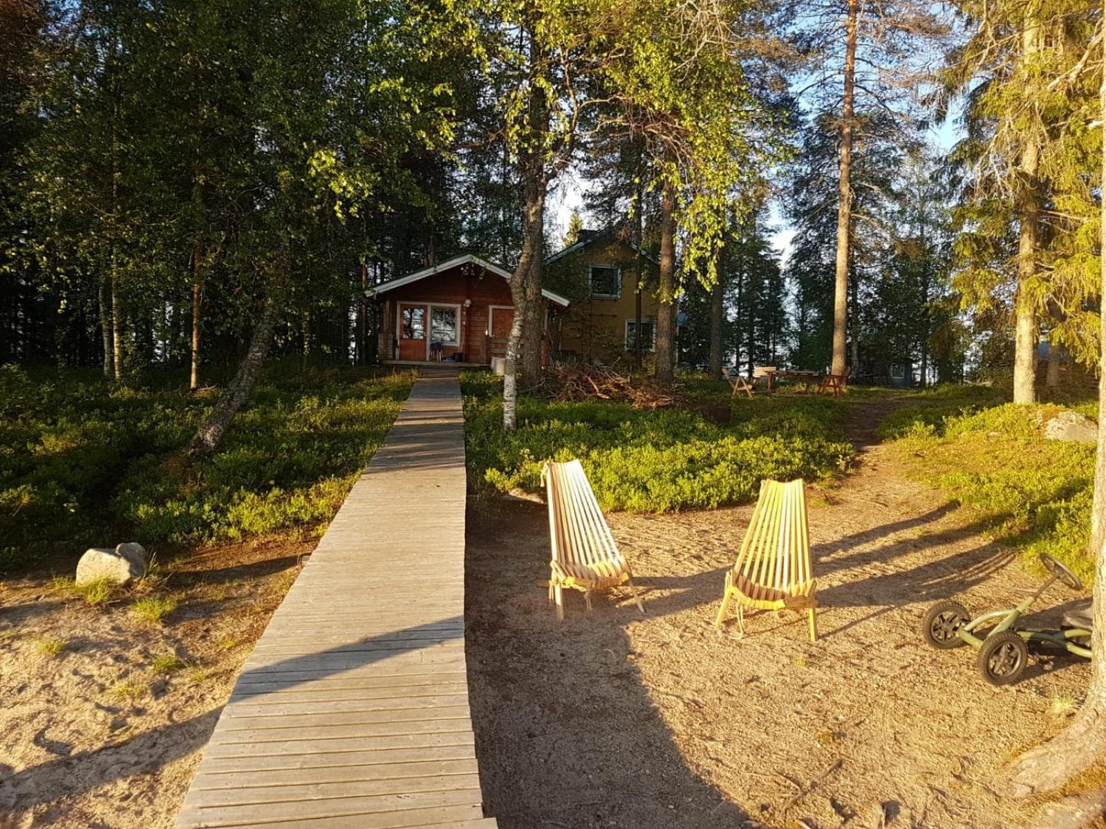 Metsä Kolo photo 8