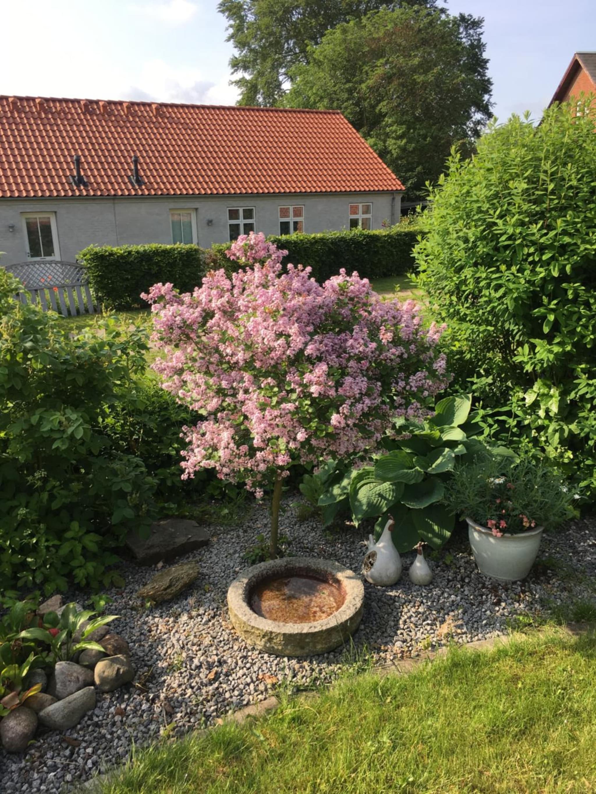 anneks til bondehus photo 6