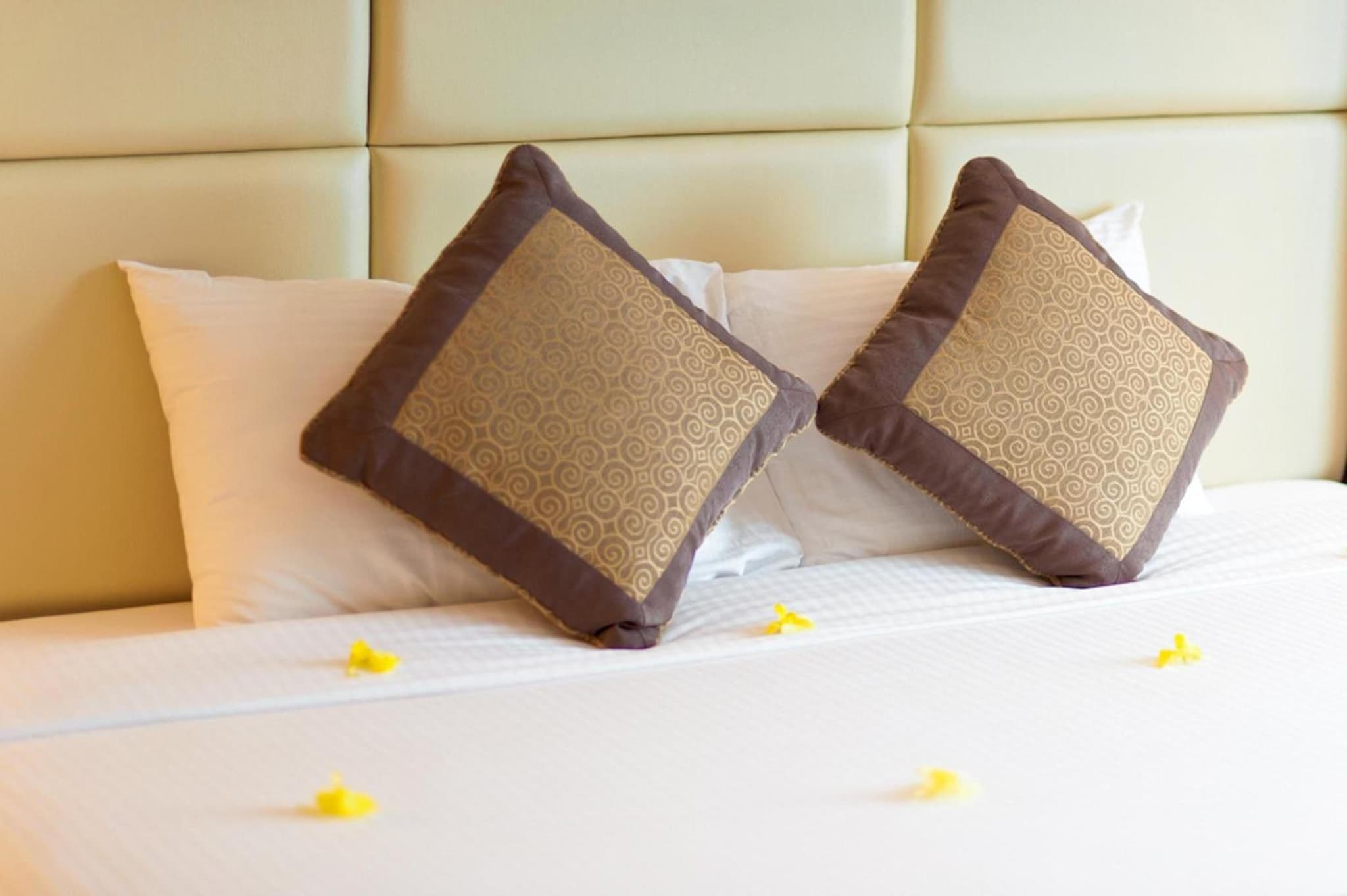 Brown Bean Hotel photo 5