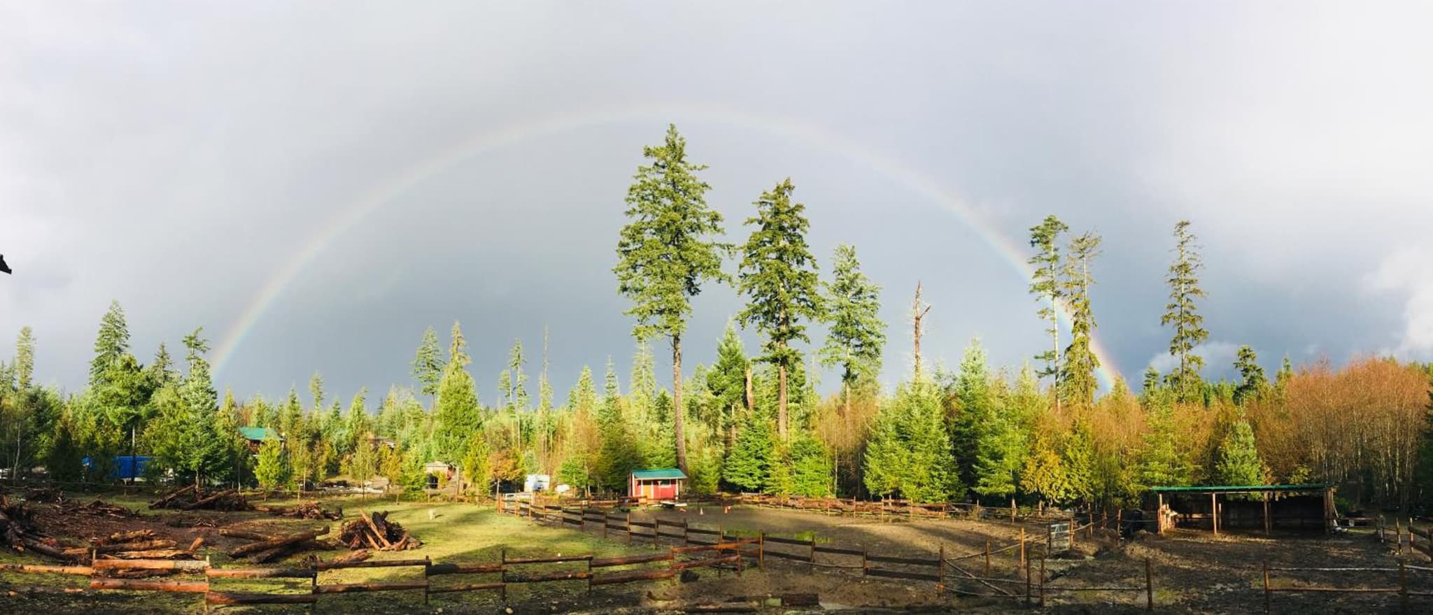 Maple Heart Ranch photo 5