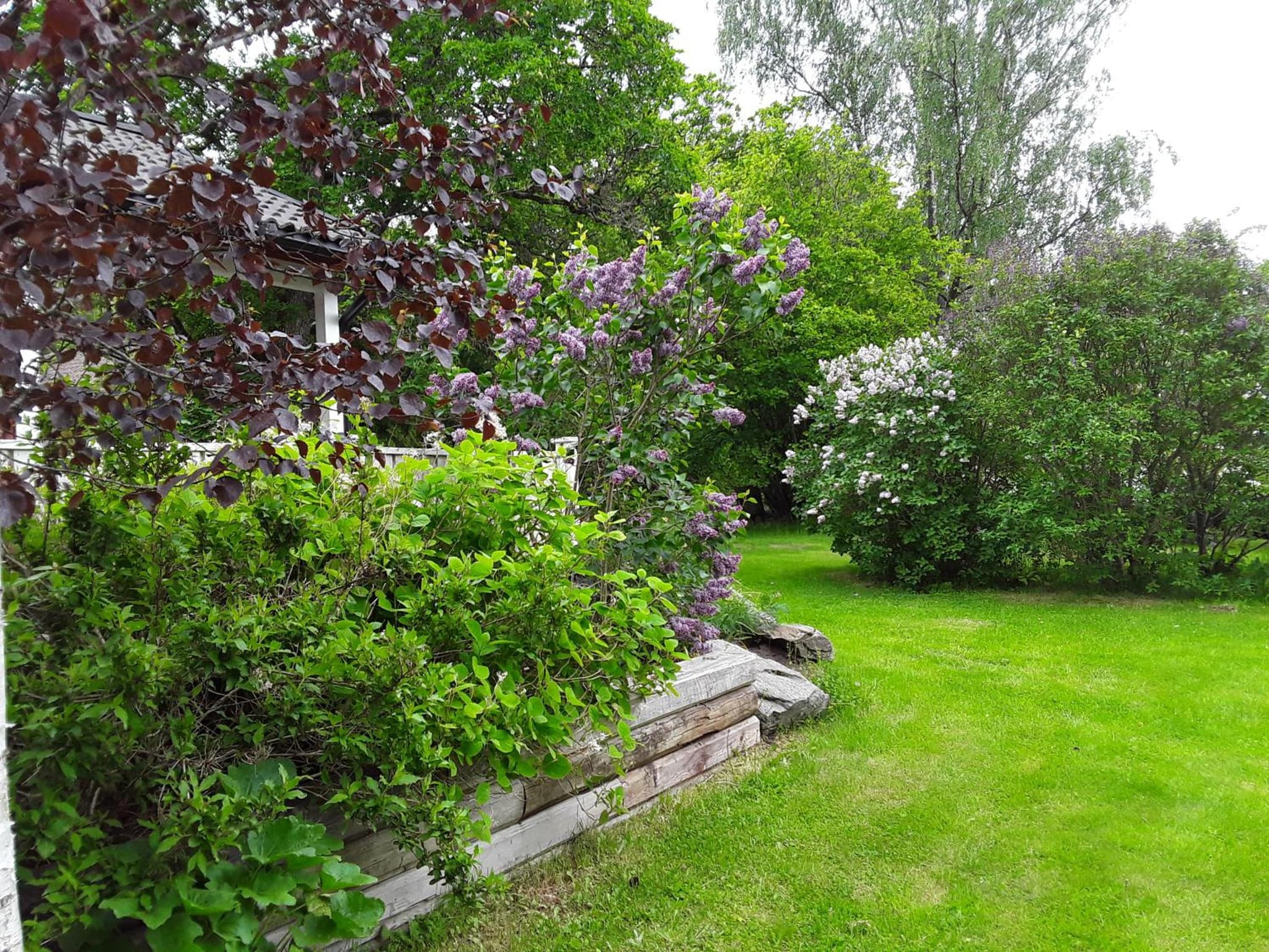 The Cottage Badelunda photo 4
