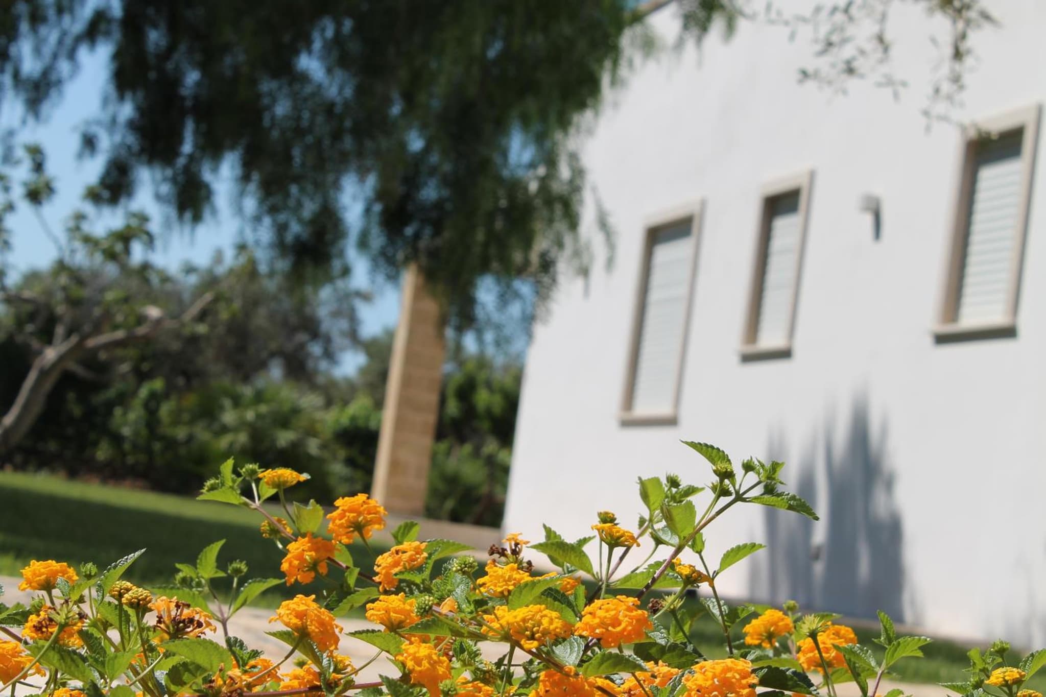 Paloma B&B photo 3