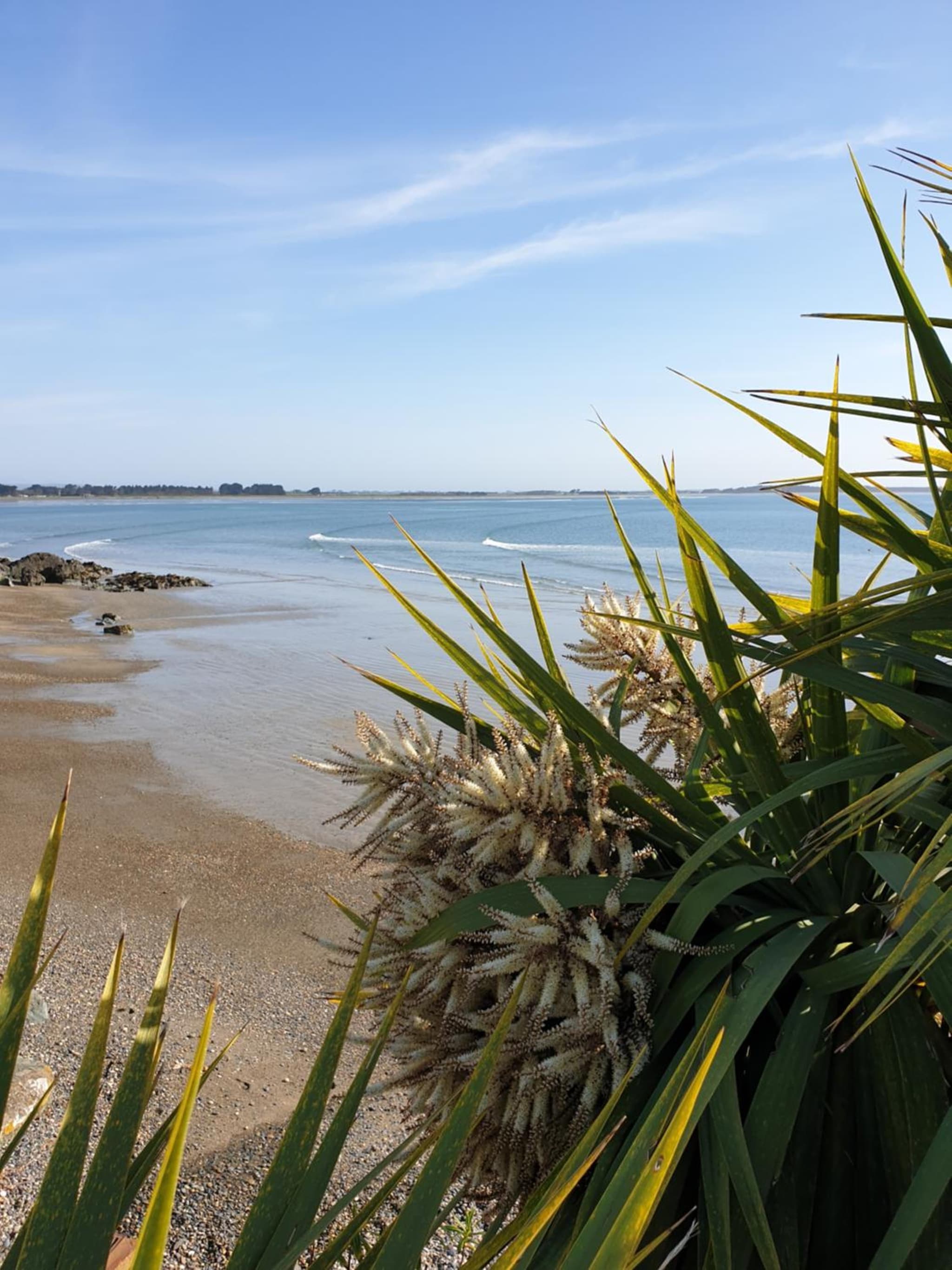 Pura Vida by the Sea photo 8