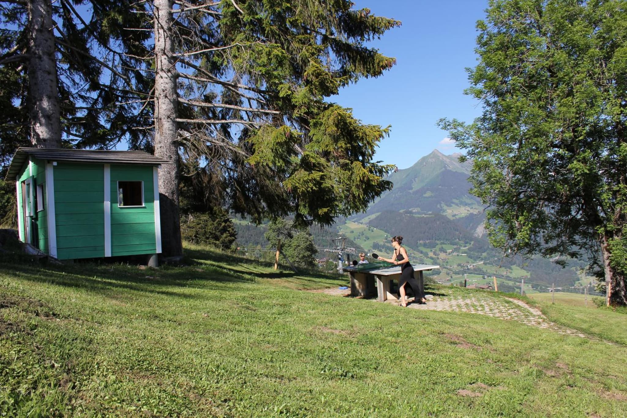 Leysin Lodge photo 8