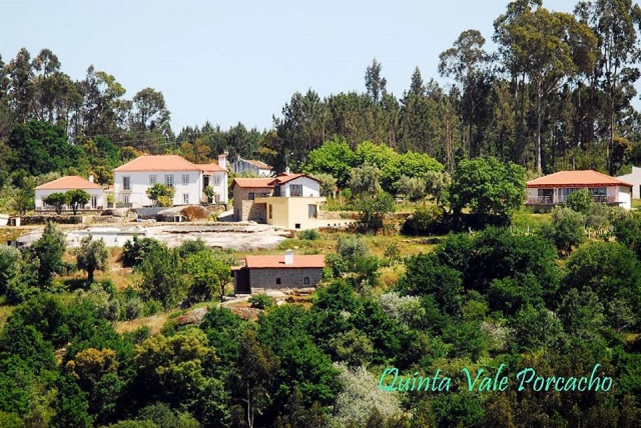 Quinta Vale Porcacho photo 7