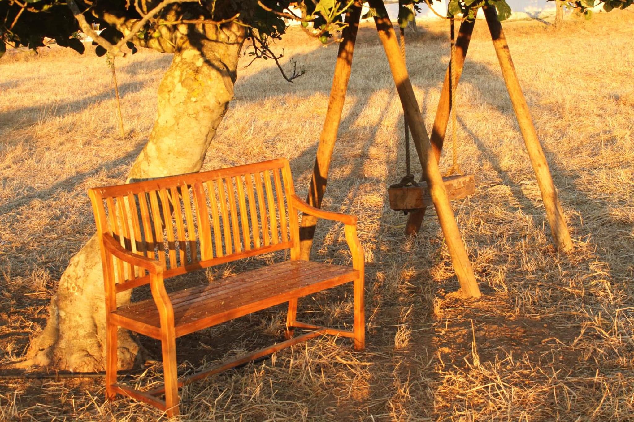 Quinta da Soneca photo 3