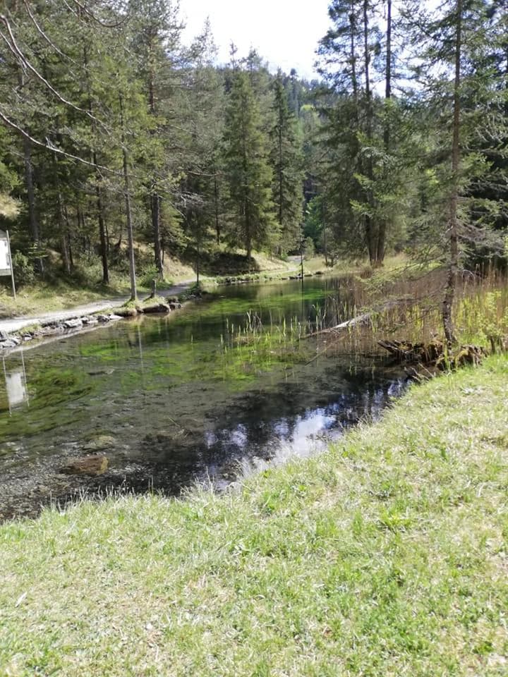 Pension Garni Hochmoos photo 9