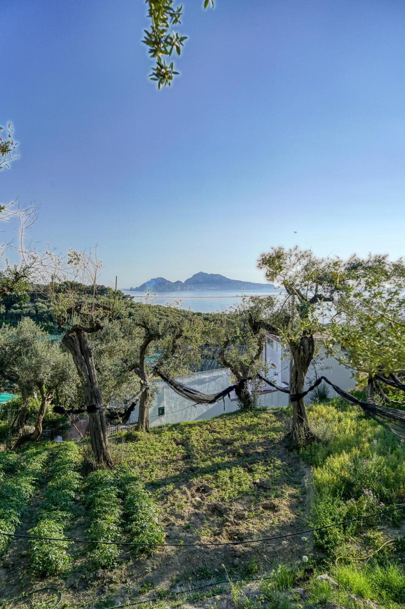 Villa Lorelei photo 9