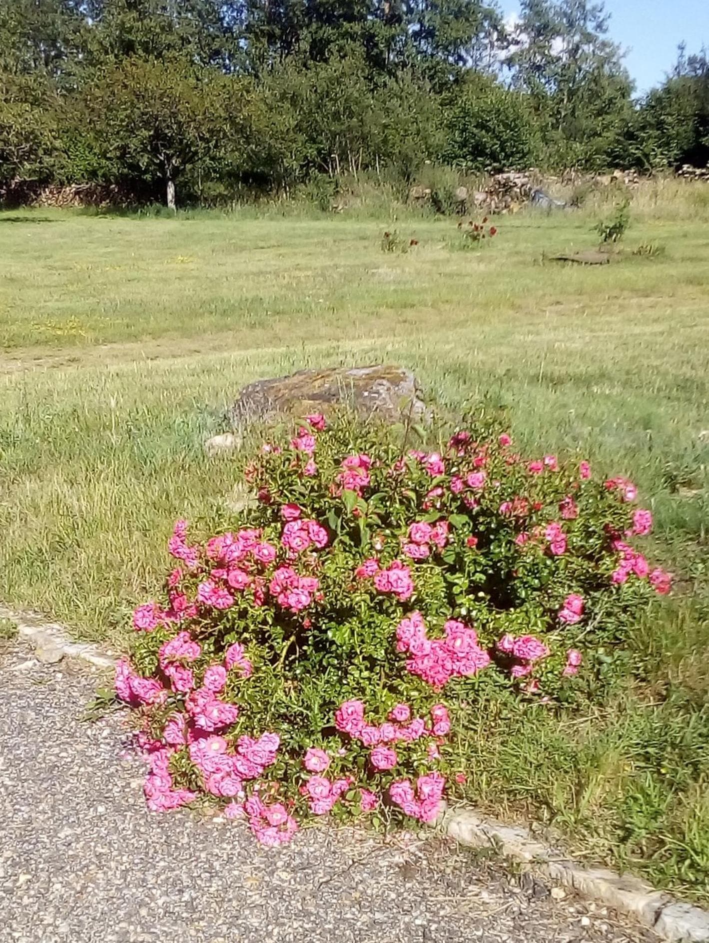 Domaine de Gentilly photo 6