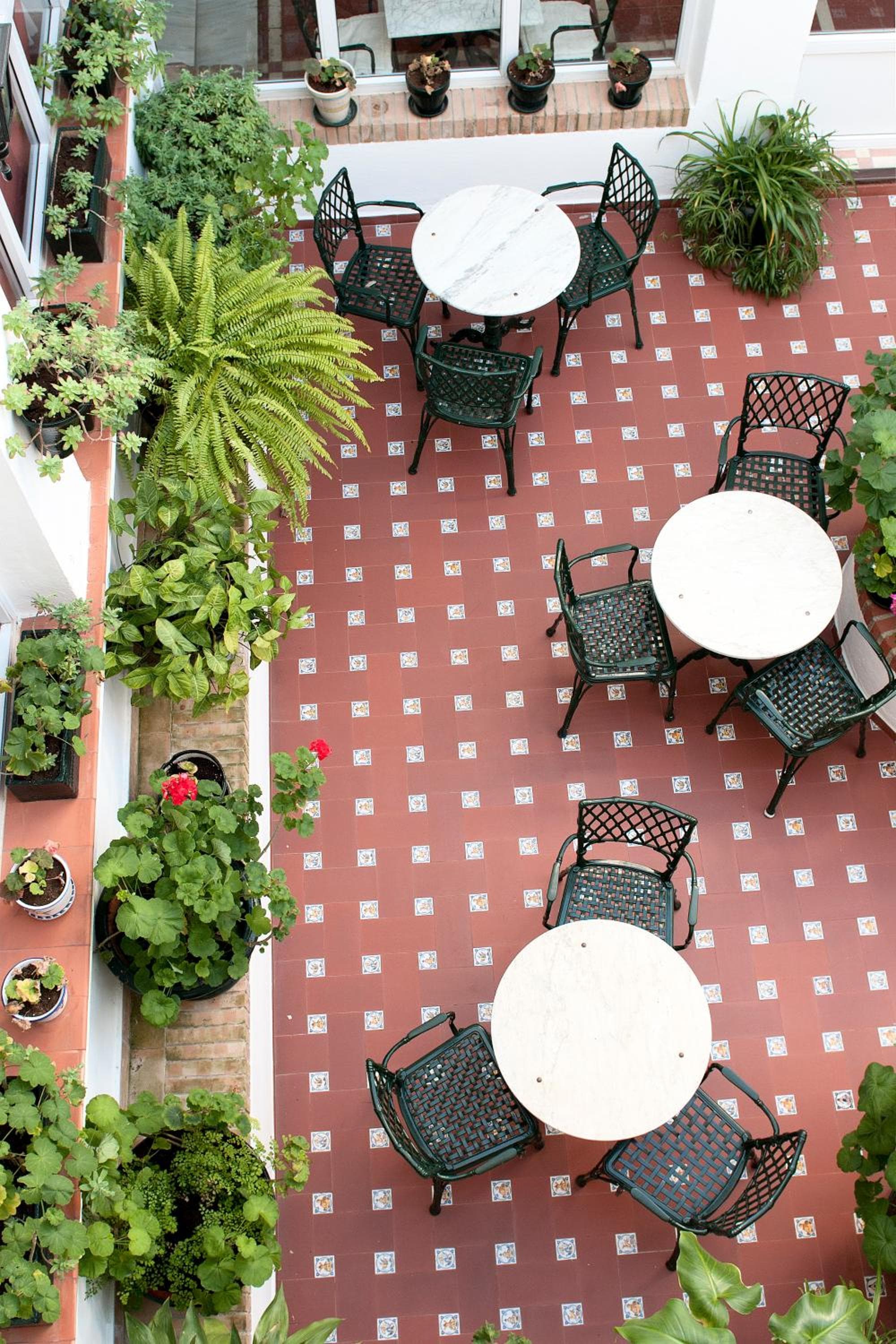 Hotel Los Olivos photo 6