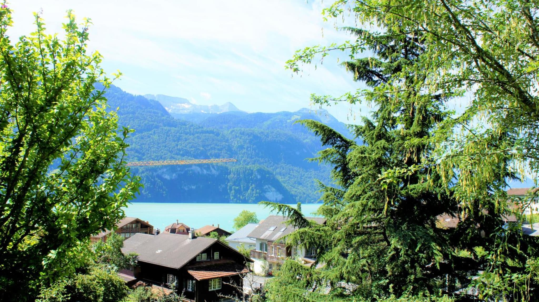 B & B Brienz photo 6