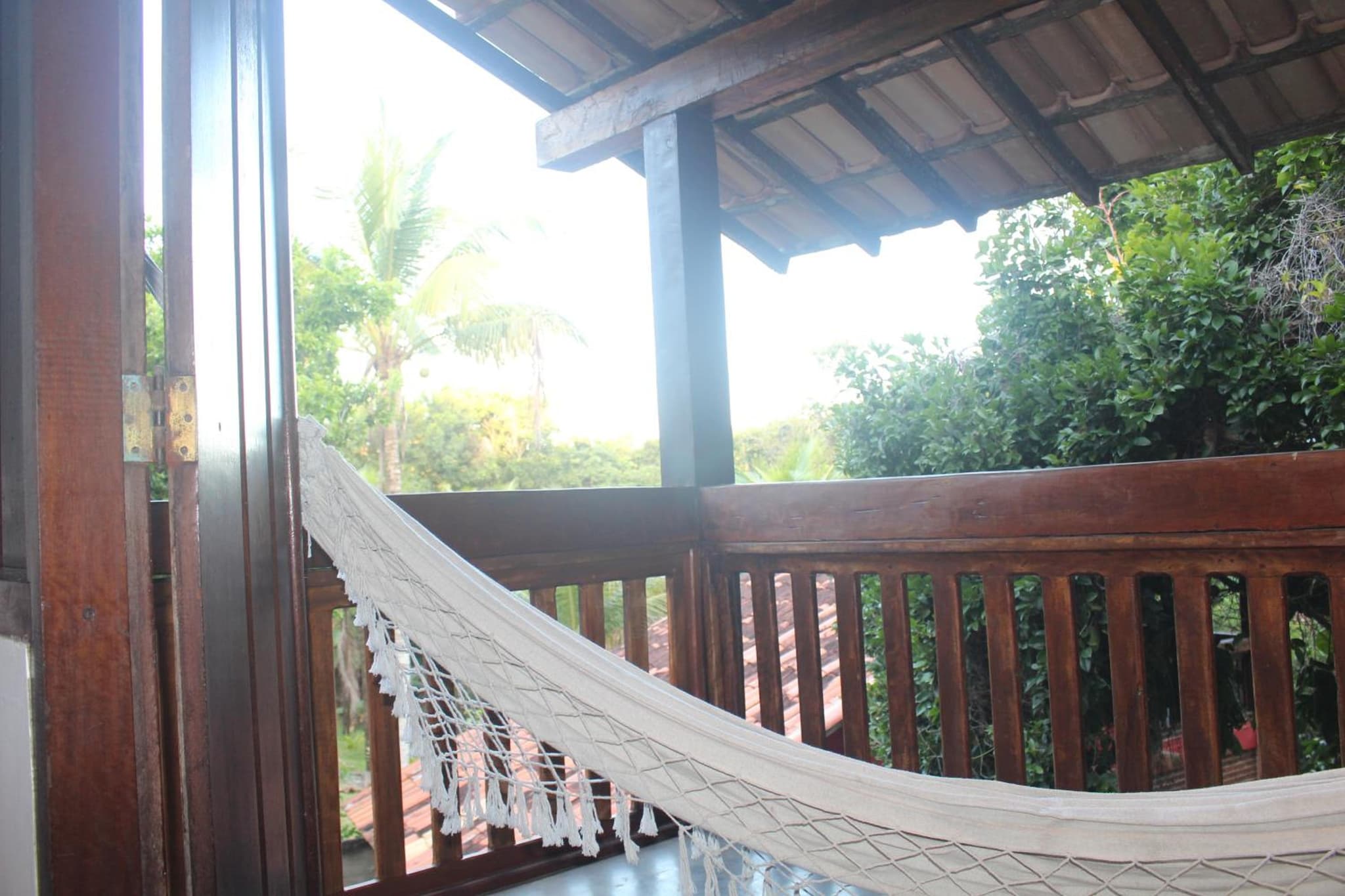 Calypso INN photo 5