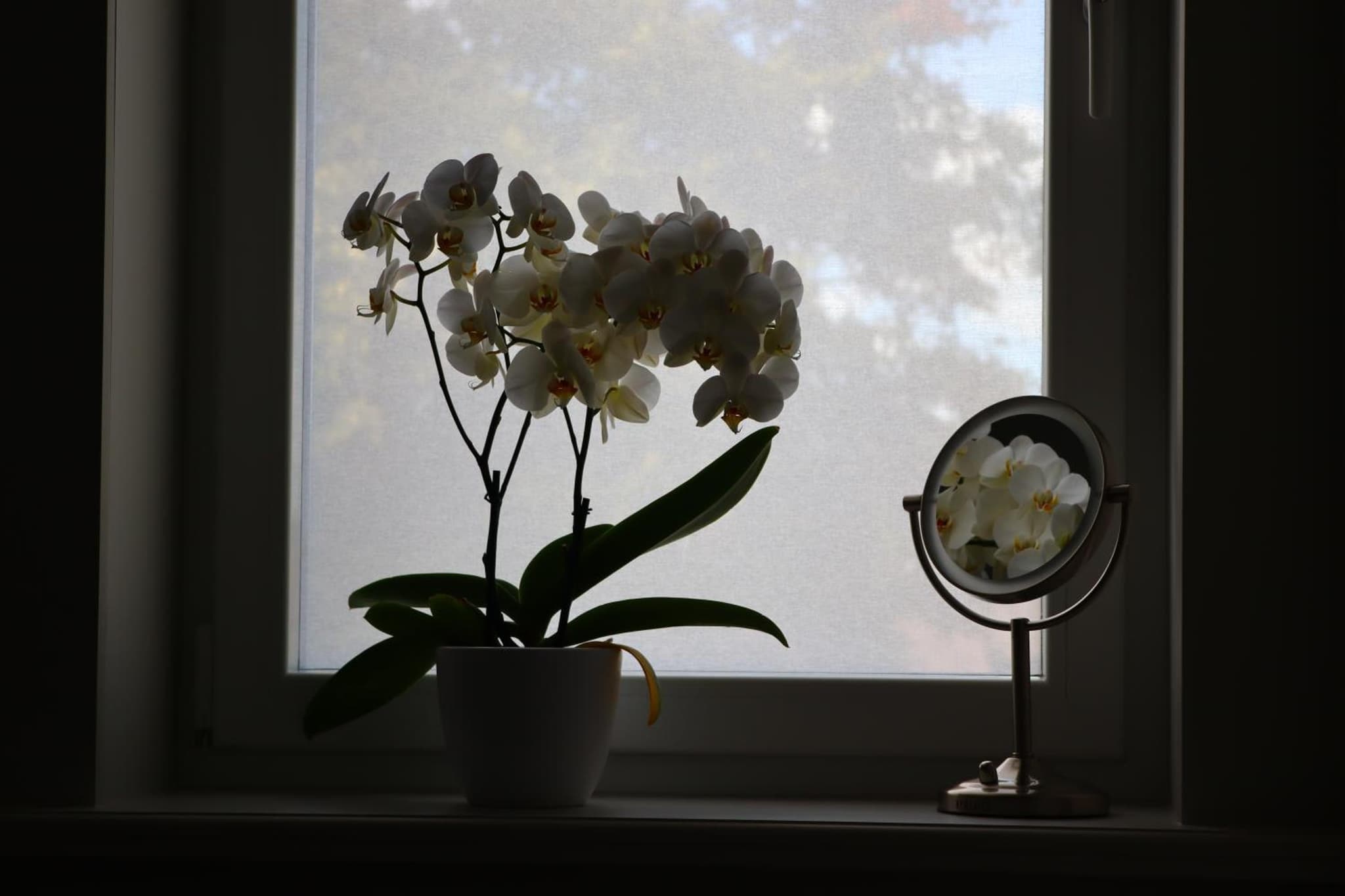 Revelatio, dé logies photo 8