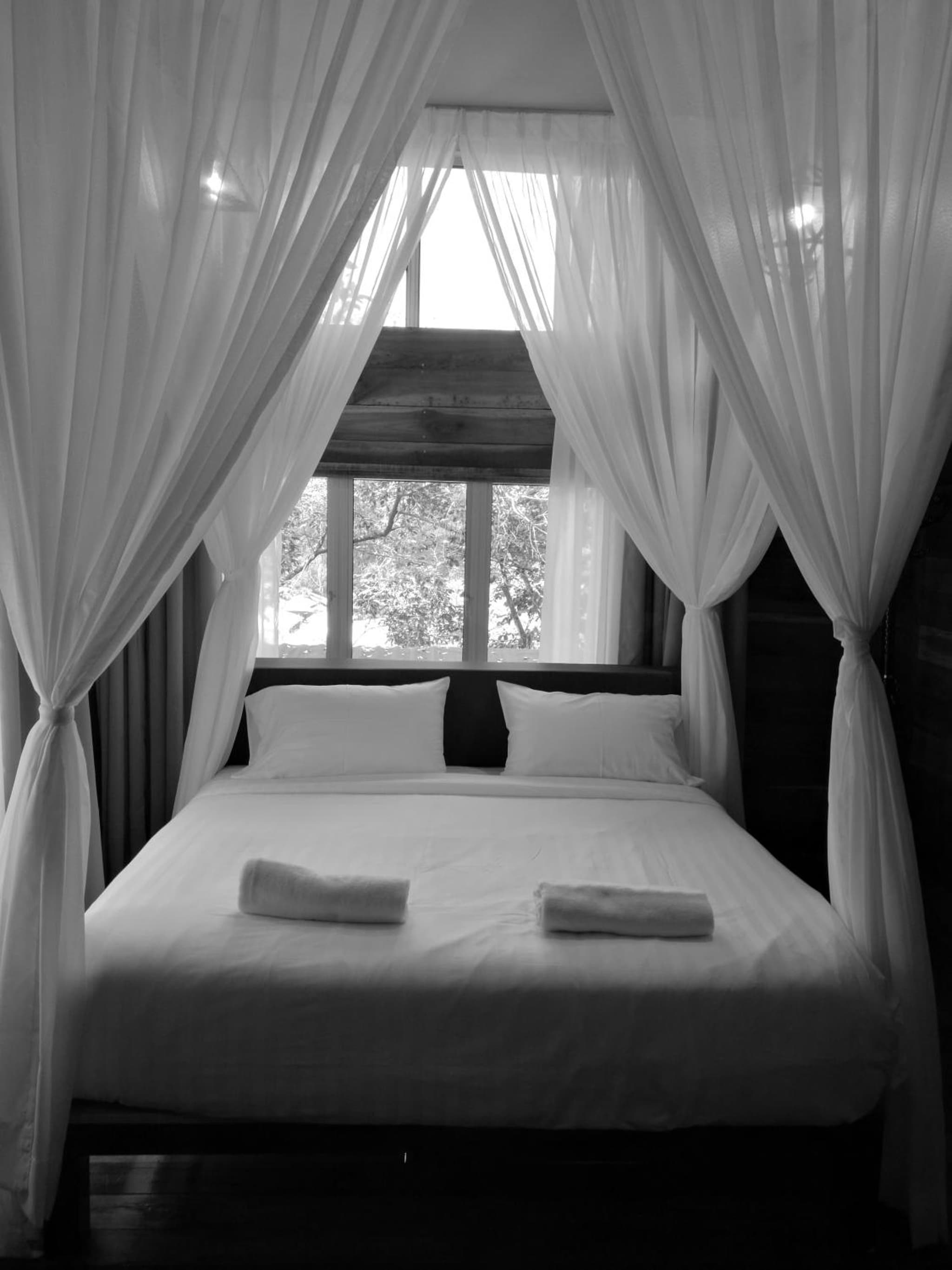 Utan Teluk Nipah photo 8