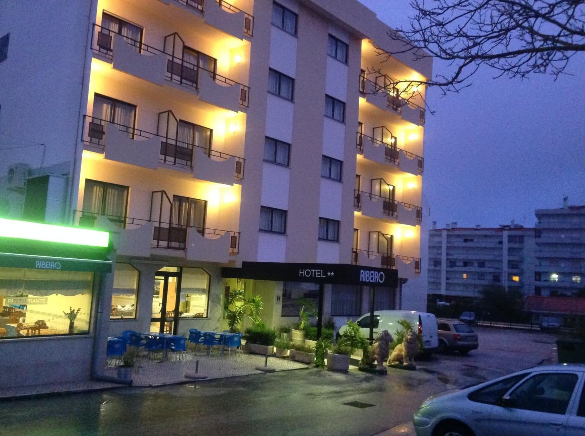 Ribeiro Hotel photo 6