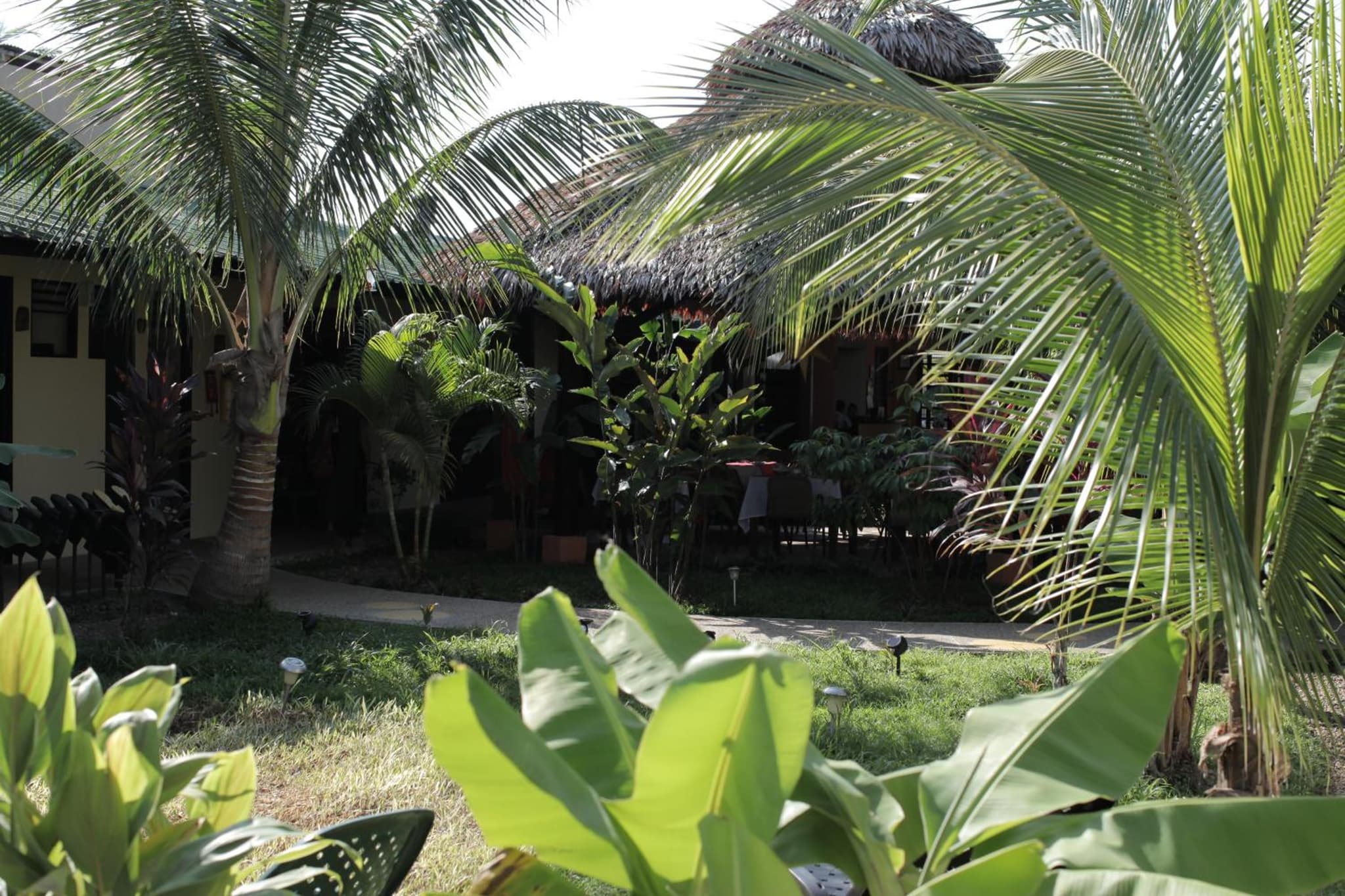 Hotel Amazon Bed And Breakfast photo 9