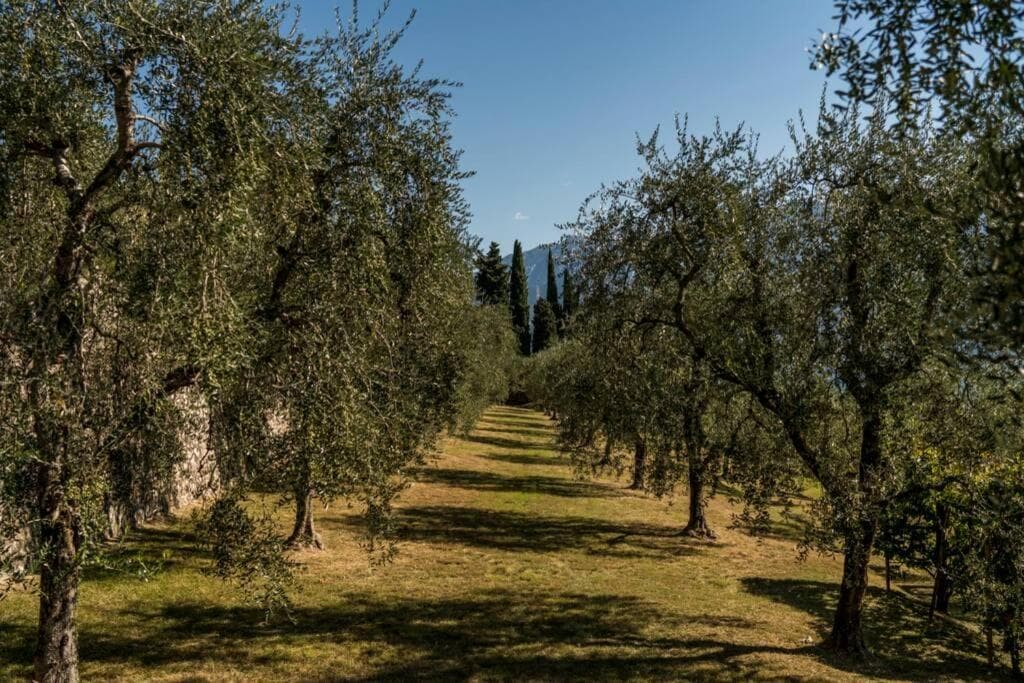 Villa Limonaia photo 2