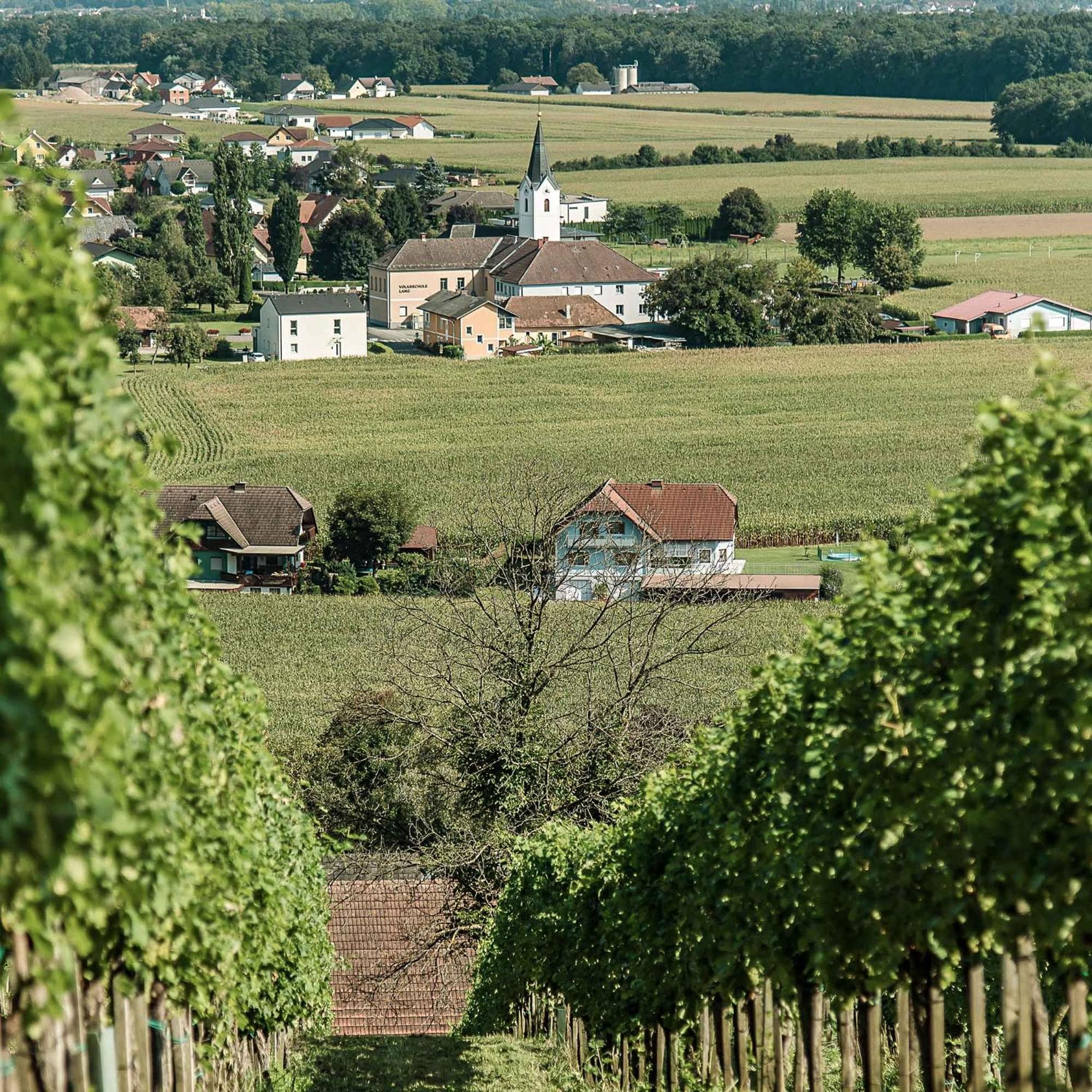 Ferienhaus im Weingarten photo 5