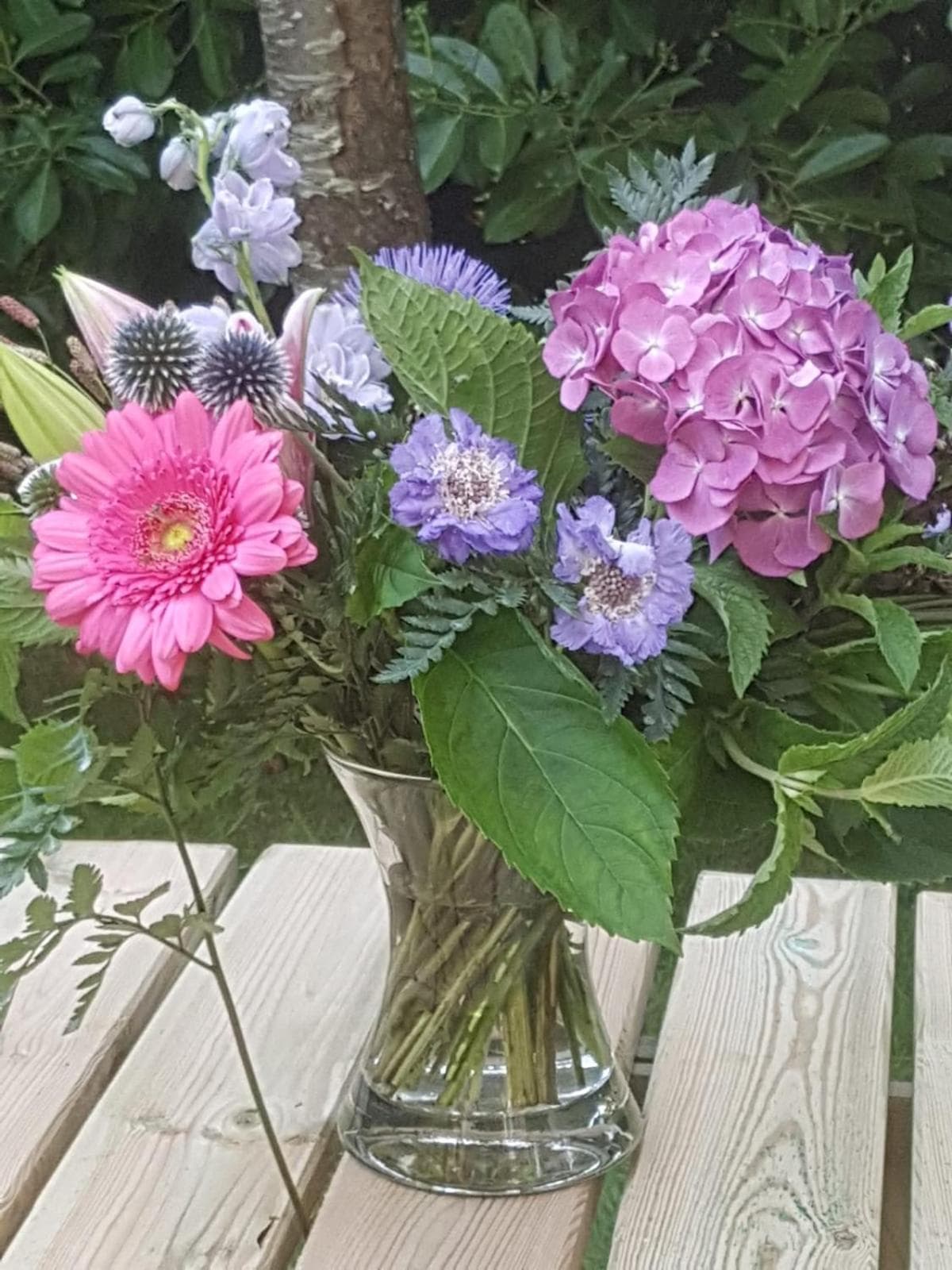 Lodge 'De Groene Parel' photo 6