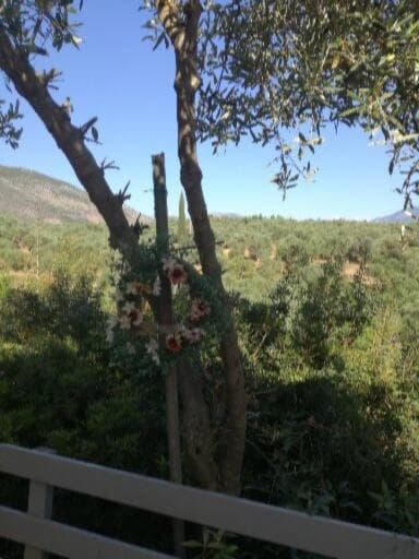 Sunny holiday home photo 9
