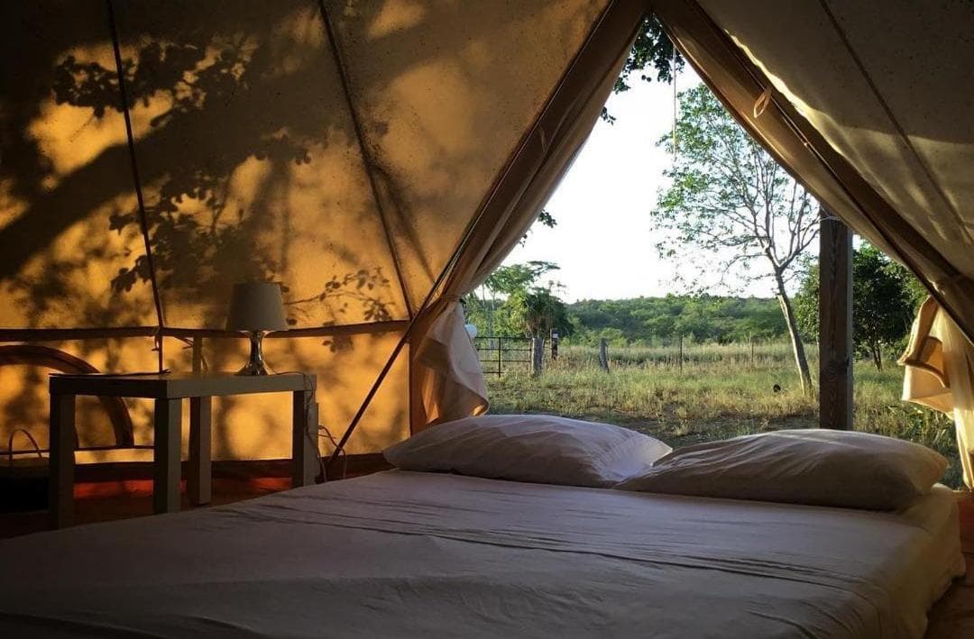 Pitahaya Glamping photo 8