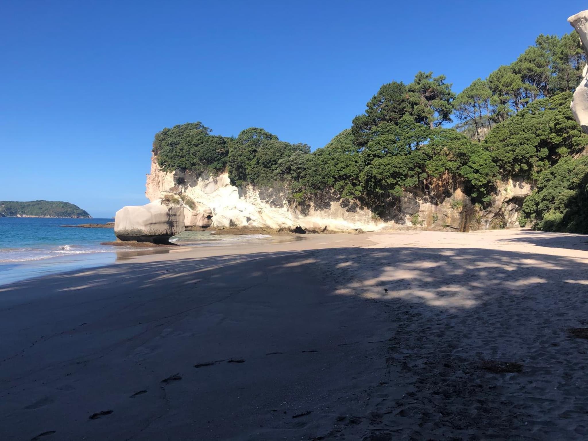 Hahei Beach Bach. photo 7