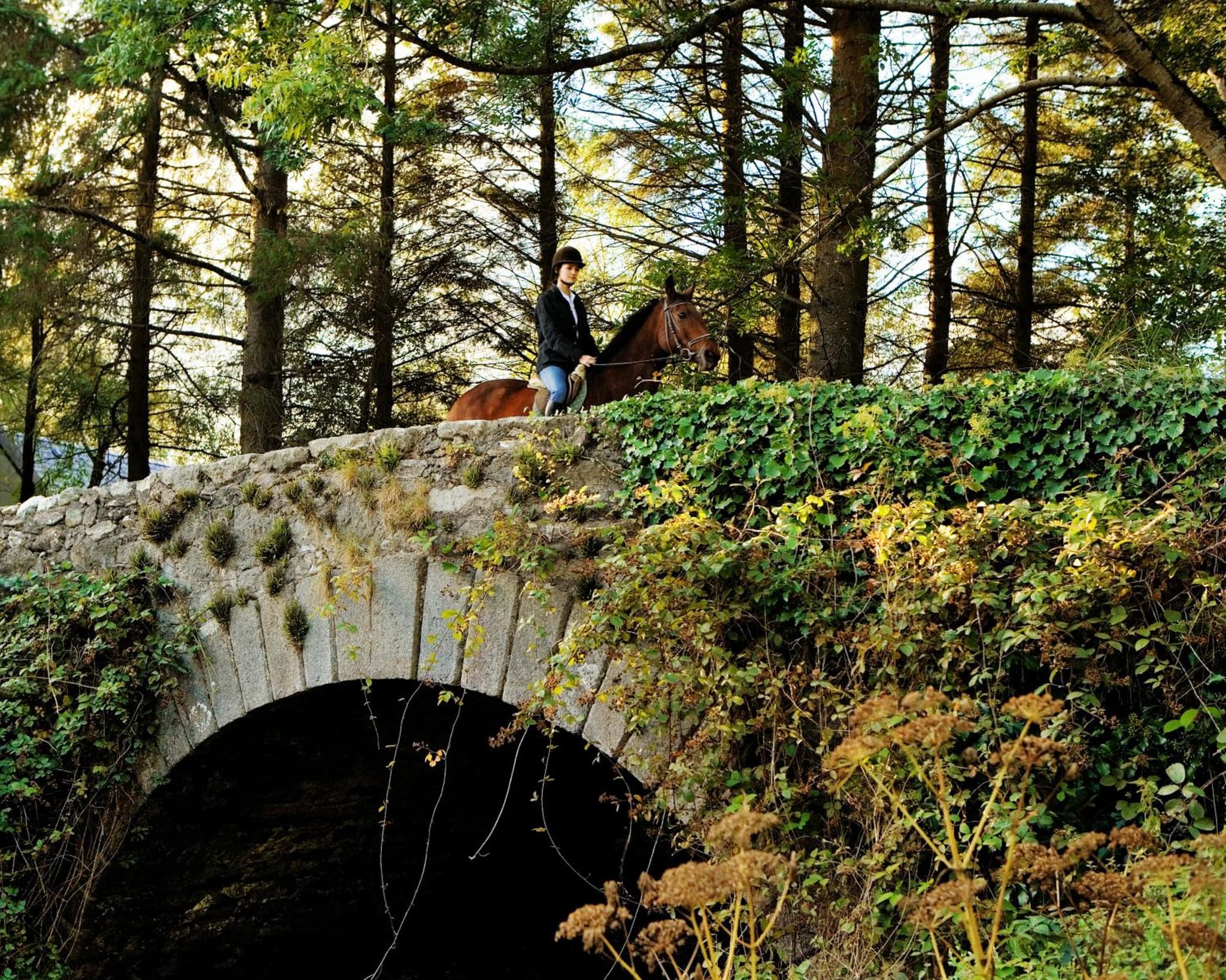 BrookLodge & Macreddin Village photo 2