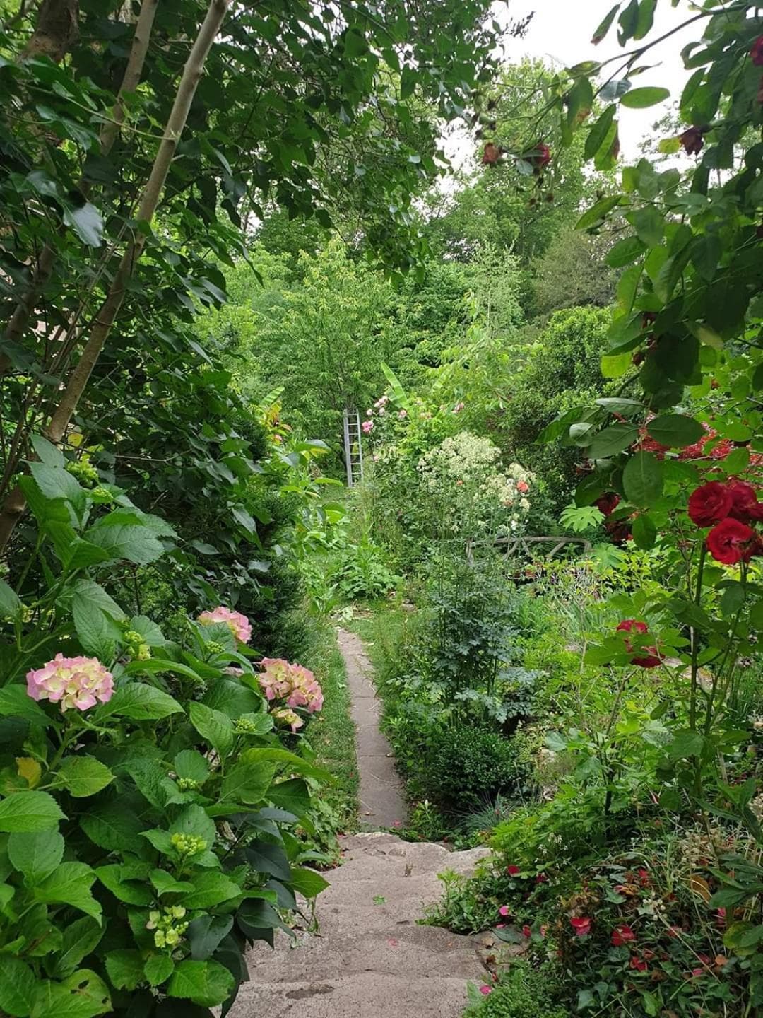 La petite maison du jardin d'Apollon photo 9
