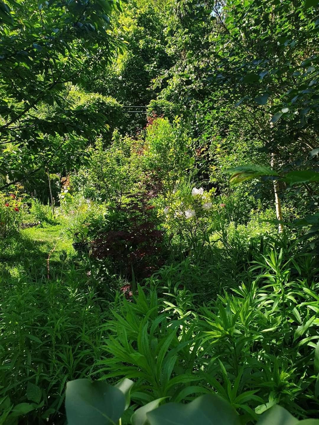 La petite maison du jardin d'Apollon photo 6