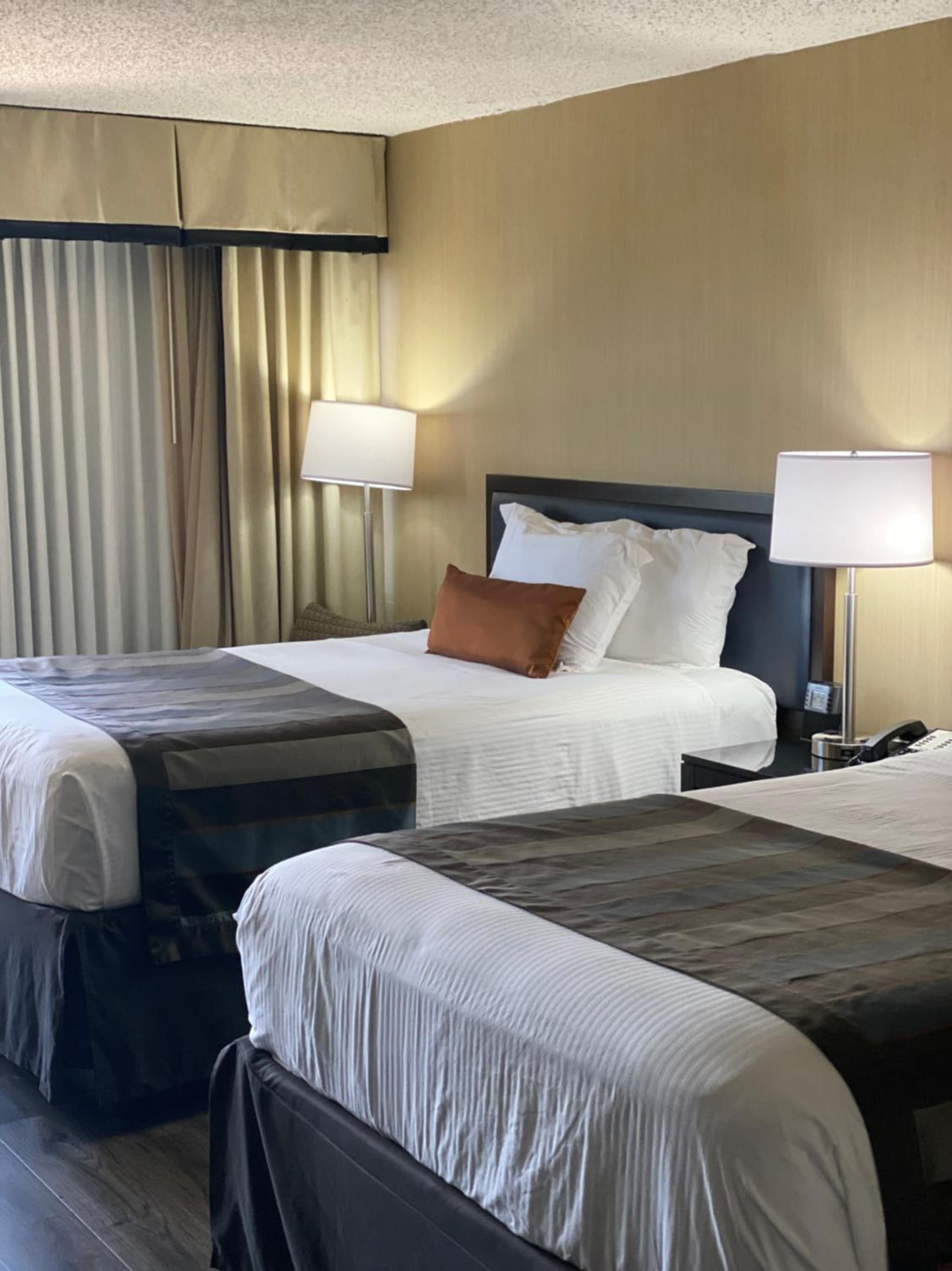 Wingate by Wyndham Springfield photo 7