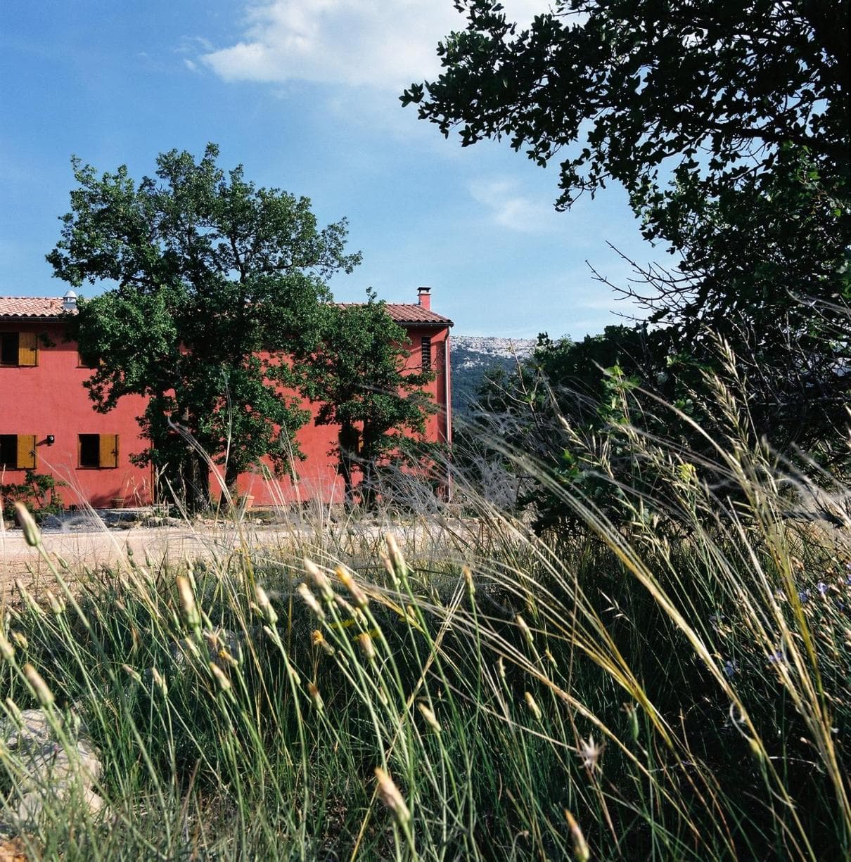 Maison Rouge photo 8