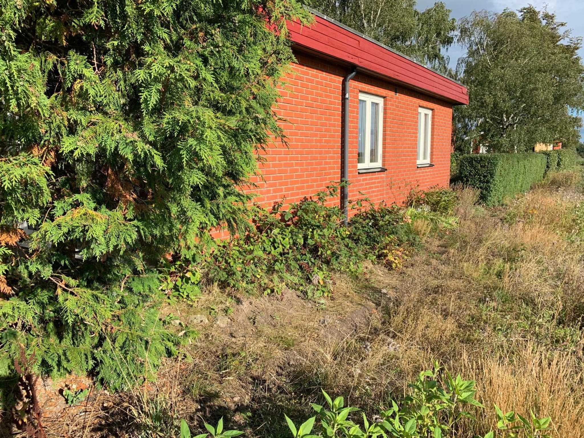 Field View Nest photo 6