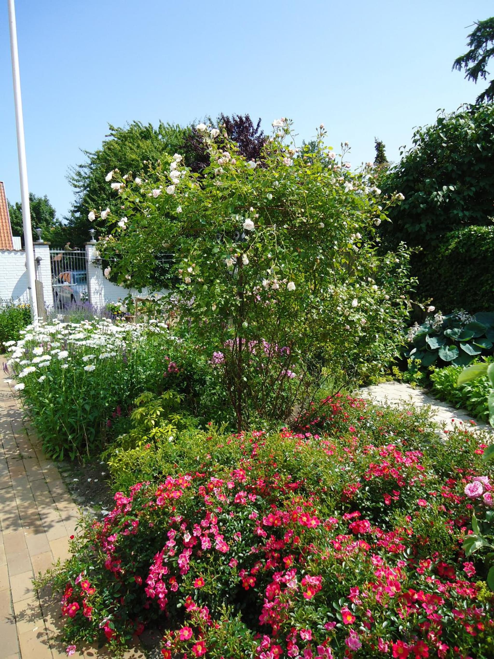 Foldenhus Ferieboliger og B&B photo 4