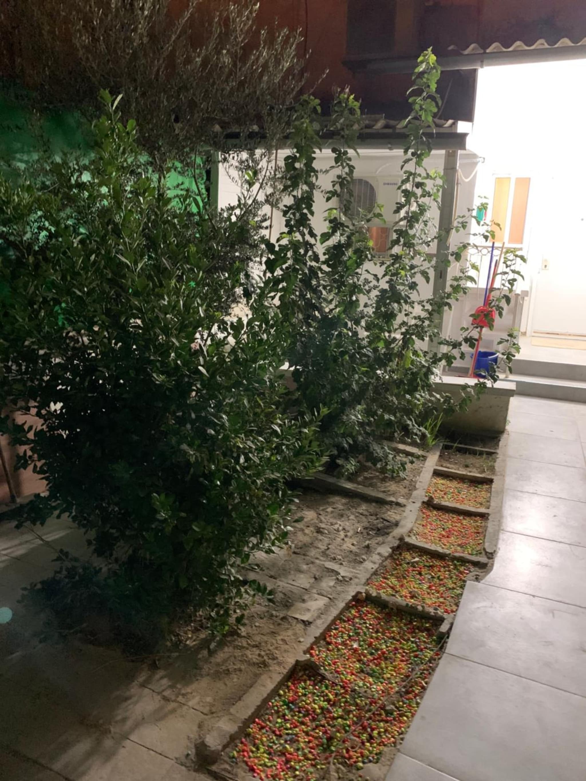 PREMIUM COMFORT PRIVATE photo 8