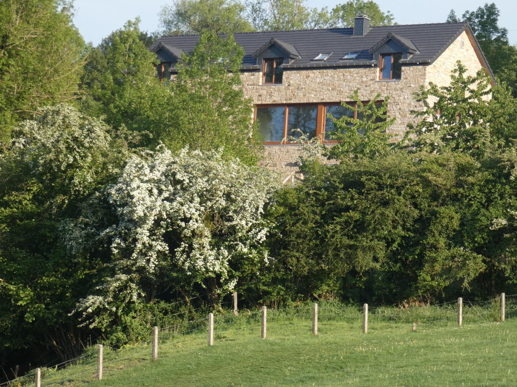 Un air de bourlingueurs photo 7