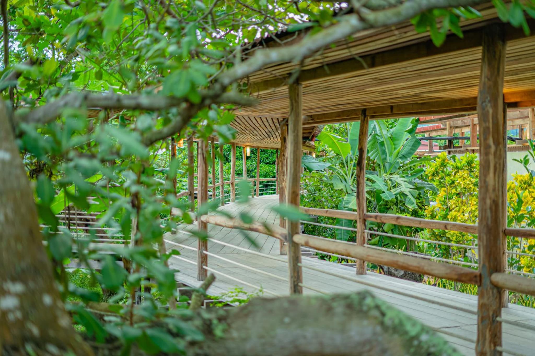 Peam Snea Resort photo 7