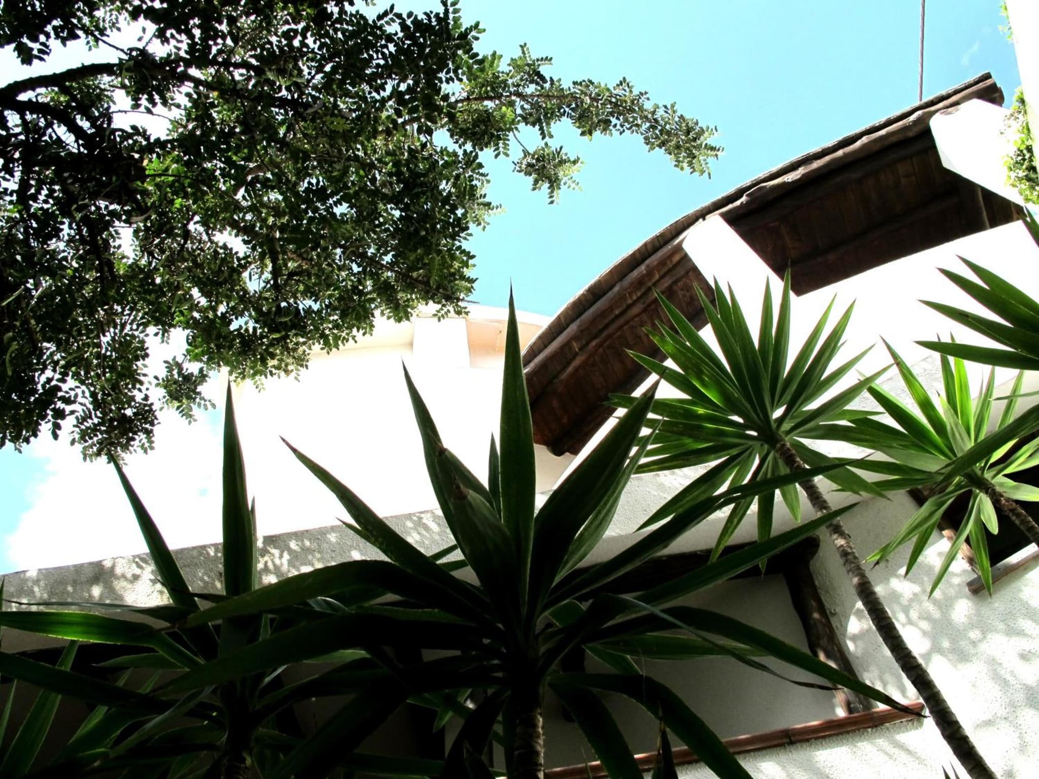 Hotel Pop photo 2