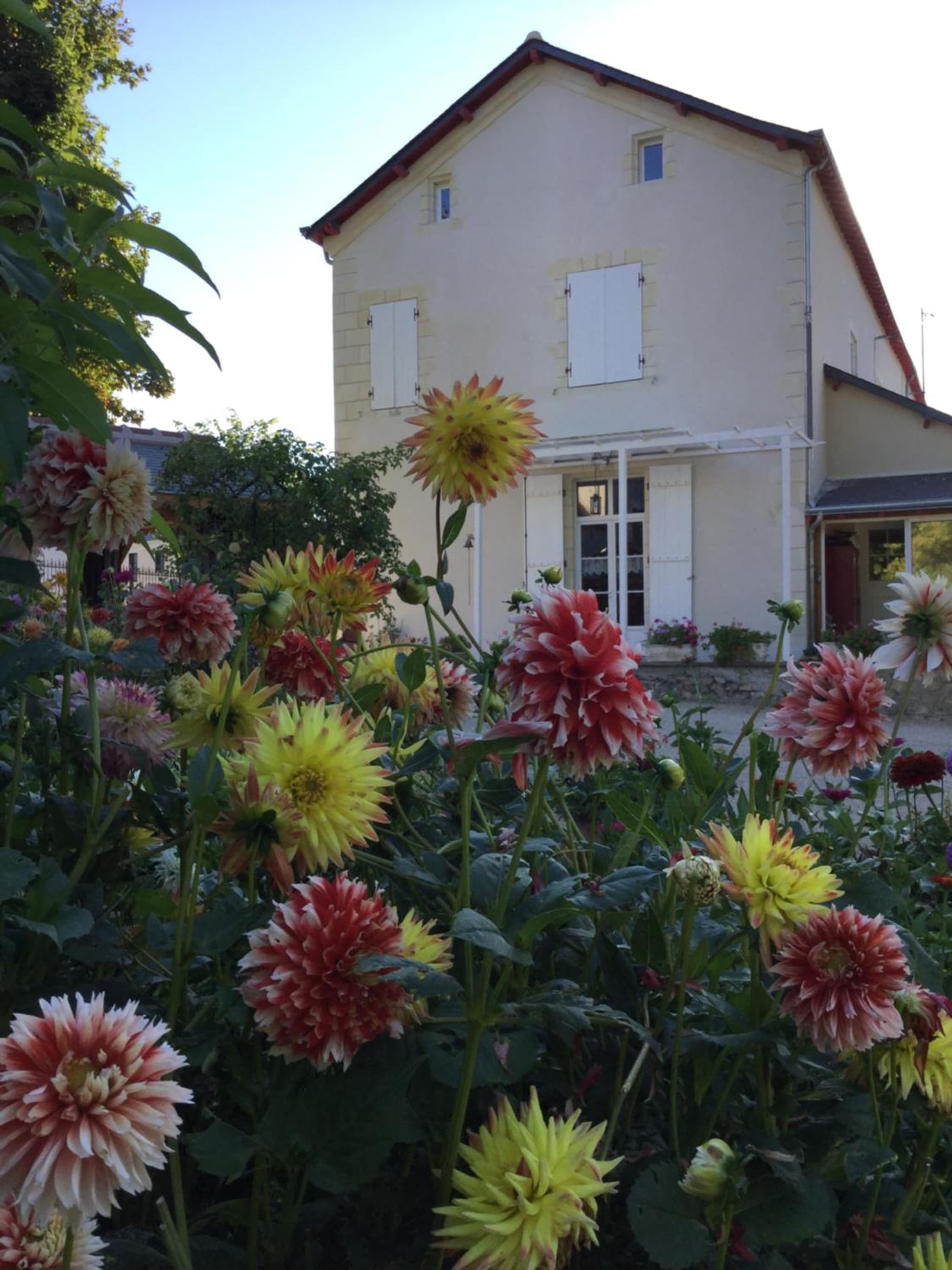 Les tilleuls de Mary photo 6