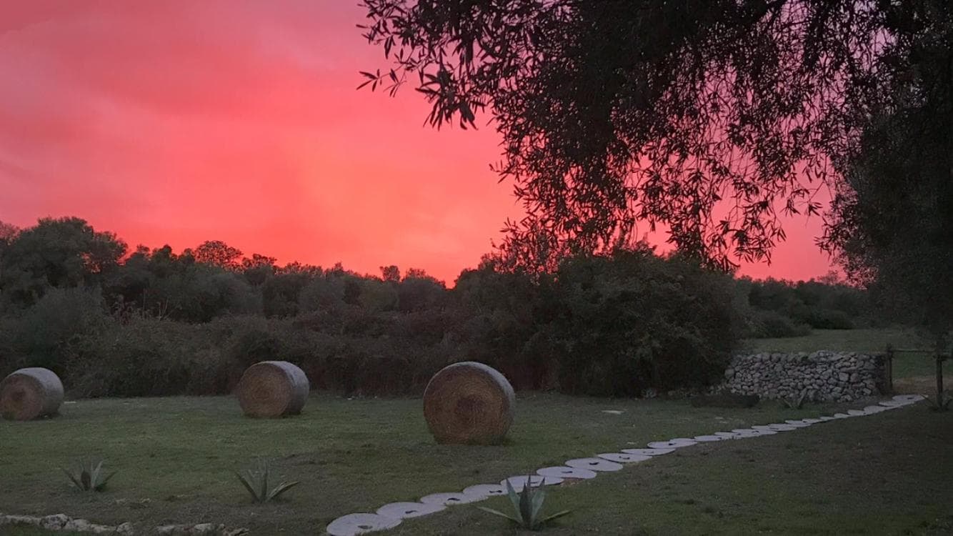Casa Farfaglia photo 5